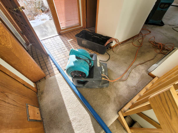 Best Sewage cleanup and water damage restoration  in Sleepy Hollow, CA