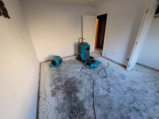 Best Local water damage restoration  in Sleepy Hollow, CA